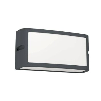 Applique murale d'extérieur Eglo CAMARDA LED Anthracite, 1 lumière