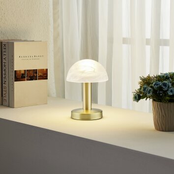 Lampe de table Trio Fynn 2 Laiton, 1 lumière