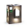 Applique murale d'extérieur Philips Hue White Fuzo LED Noir, 1 lumière