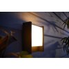 Applique murale d'extérieur Philips Hue White Fuzo LED Noir, 1 lumière