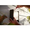 Applique murale d'extérieur Philips Hue White Fuzo LED Noir, 1 lumière