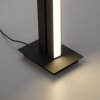 Lampadaire Paul Neuhaus PURE-LINES LED Anthracite, 1 lumière, Télécommandes