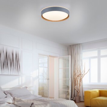 Plafonnier Paul Neuhaus Q-EMILIA LED Gris, Couleur bois, 1 lumière, Télécommandes