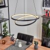 Suspension  Fioso LED Noir, 1 lumière