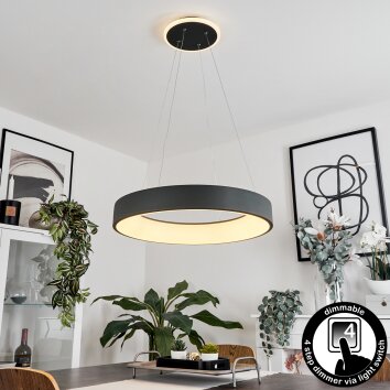 Suspension  Areja LED Anthracite, Blanc, 1 lumière