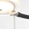 Lampadaire Steinhauer Turound LED Acier brossé, 1 lumière