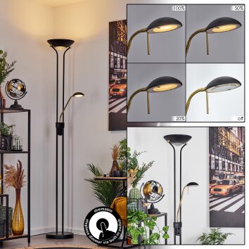 Lampadaire à vasque  Rom LED Noir, 2 lumières