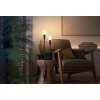 Philips Hue LED E14 4,6 watt 2200-4500 kelvin 350 lumen