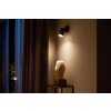 Plafonnier Philips Hue Fugato LED Noir, 1 lumière, Changeur de couleurs