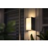 Applique murale d'extérieur set x 2 Philips Hue Turaco LED Anthracite, 1 lumière