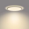 Plafonnier Philips Ozziet LED Noir, Blanc, 1 lumière