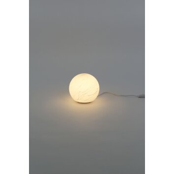 Lampe de table Holländer MOON Blanc, 1 lumière