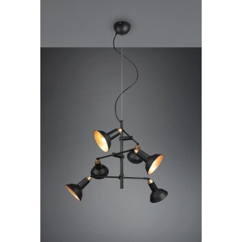 Suspension Trio Roxie Laiton, Noir, 6 lumières