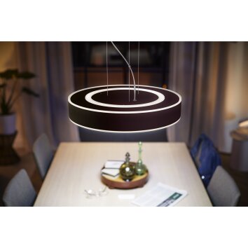 Suspension Philips Hue Enrave LED Noir, 1 lumière, Télécommandes