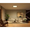 Plafonnier Philips Hue Surimu LED Blanc, 1 lumière, Changeur de couleurs