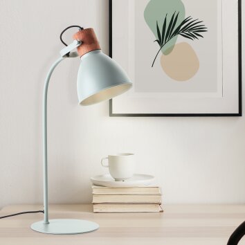 Lampe de table Brilliant Erena Vert, 1 lumière