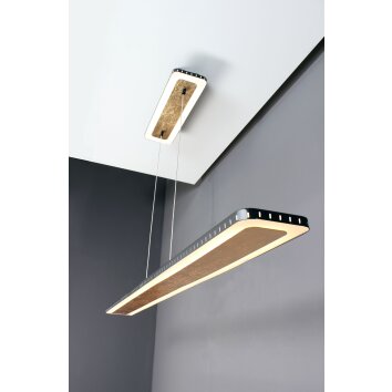 Suspension Luce Design Solaris LED Or, Noir, 1 lumière