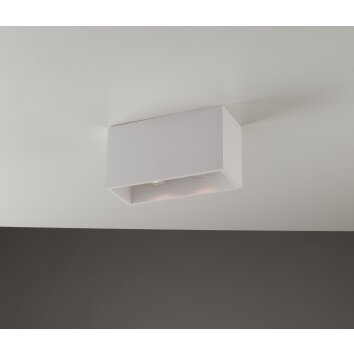 Plafonnier Luce Design Foster peut être peint avec de la peinture ordinaire, Blanc, 2 lumières