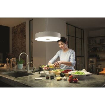 Suspension Philips Hue Fair LED Blanc, 1 lumière, Télécommandes