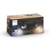 Plafonnier Philips Hue Buckram LED Noir, 2 lumières, Télécommandes