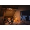 Plafonnier Philips Hue Runner LED Blanc, 2 lumières, Télécommandes