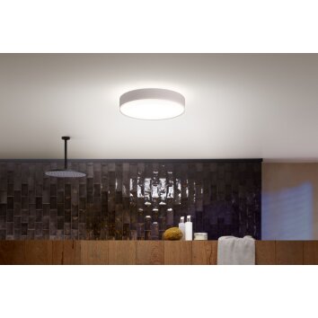 Plafonnier Philips Hue Devere LED Blanc, 1 lumière, Télécommandes