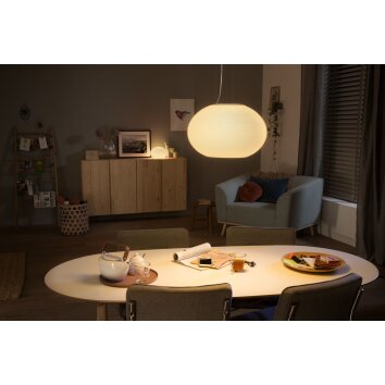 Suspension Philips Hue Flourish LED Blanc, 1 lumière, Changeur de couleurs