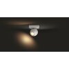 Plafonnier Philips Hue Buckram LED Blanc, 1 lumière