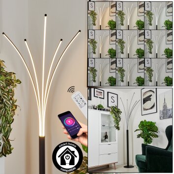 Lampadaire  Bakersfield LED Noir, Blanc, 1 lumière