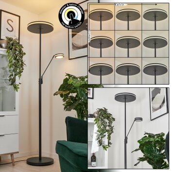 Lampadaire à vasque  Huallilemu LED Anthracite, 2 lumières