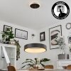 Suspension  Areja LED Noir, Blanc, 1 lumière