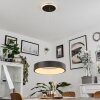 Suspension  Areja LED Noir, Blanc, 1 lumière