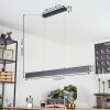 Suspension  Brun LED Anthracite, 2 lumières, Télécommandes