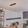 Suspension  Brun LED Anthracite, 2 lumières, Télécommandes