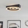 Plafonnier  Canhoso LED Noir, 1 lumière