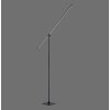 Lampadaire Paul Neuhaus PURE-GRAFO LED Noir, 1 lumière