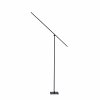 Lampadaire Paul Neuhaus PURE-GRAFO LED Noir, 1 lumière