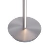 Lampadaire à vasque Paul Neuhaus PURE-MUTIL LED Acier brossé, 2 lumières