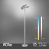 Lampadaire à vasque Paul Neuhaus PURE-MUTIL LED Acier brossé, 2 lumières