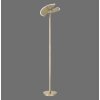 Lampadaire à vasque Paul Neuhaus PURE-MUTIL LED Laiton, 2 lumières