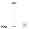 Lampadaire à vasque Paul Neuhaus PURE-MUTIL LED Laiton, 2 lumières