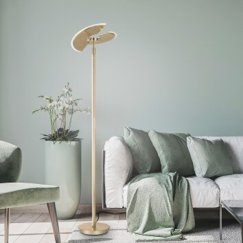 Lampadaire à vasque Paul Neuhaus PURE-MUTIL LED Laiton, 2 lumières