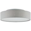 Plafonnier Brilliant Baska LED Blanc, 1 lumière