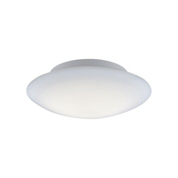 Plafonnier Paul Neuhaus Q-ARKTIS LED Blanc, 1 lumière, Télécommandes, Changeur de couleurs