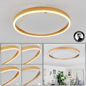 Plafonnier  Barril LED Blanc, 1 lumière