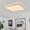 Plafonnier Sasinhosa LED Blanc, 1 lumière, Télécommandes