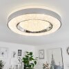 Plafonnier Cancinos LED Argenté, Blanc, 2 lumières, Télécommandes, Changeur de couleurs