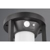 Lampe solaires Trio Carmo LED Noir, 1 lumière, Détecteur de mouvement