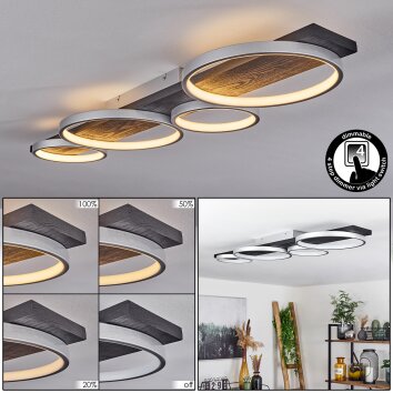 Plafonnier Rodekro LED Noir, Argenté, 1 lumière