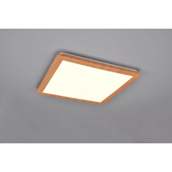 Plafonnier Reality Camillus LED Couleur bois, Blanc, 1 lumière